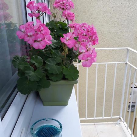 Zenit Apartman Makó Exterior foto